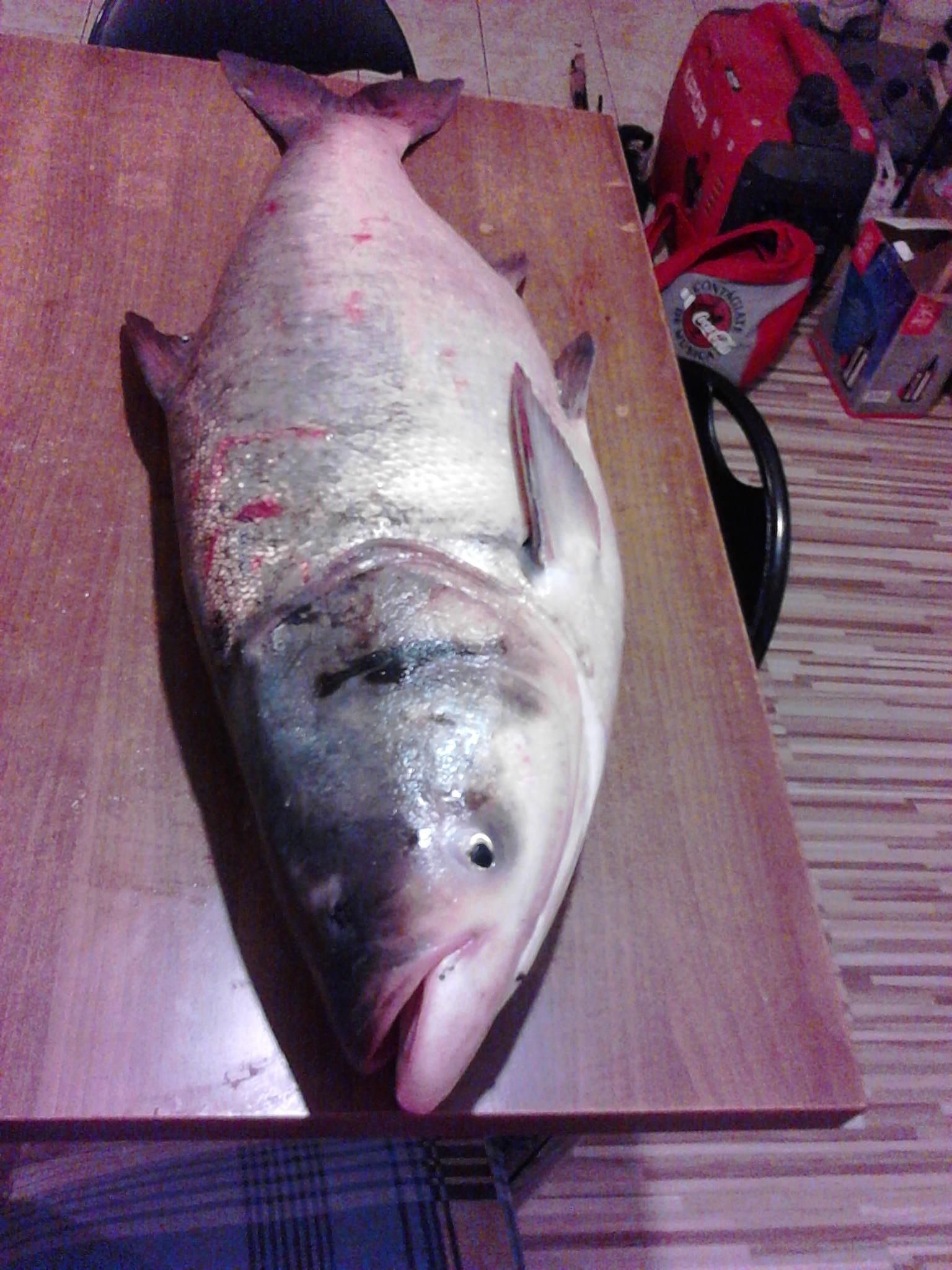 pescuit la rapitor - IMG_20121206_172639_0.jpg